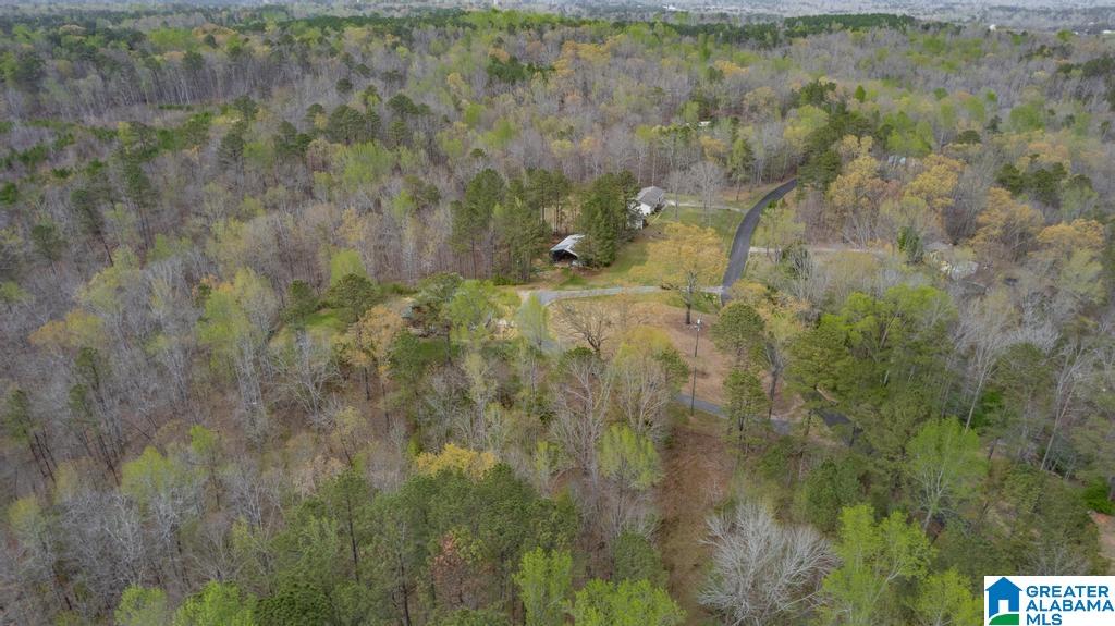 7130 Sellers Road Dora, AL 35062 - Photo 57 of 63
