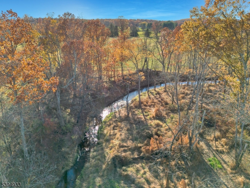 58 Dunkard Church Road Stockton, NJ 08559 - Photo 16 of 26 a view of a forest