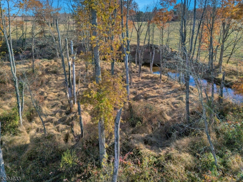 58 Dunkard Church Road Stockton, NJ 08559 - Photo 18 of 26 a view of city view