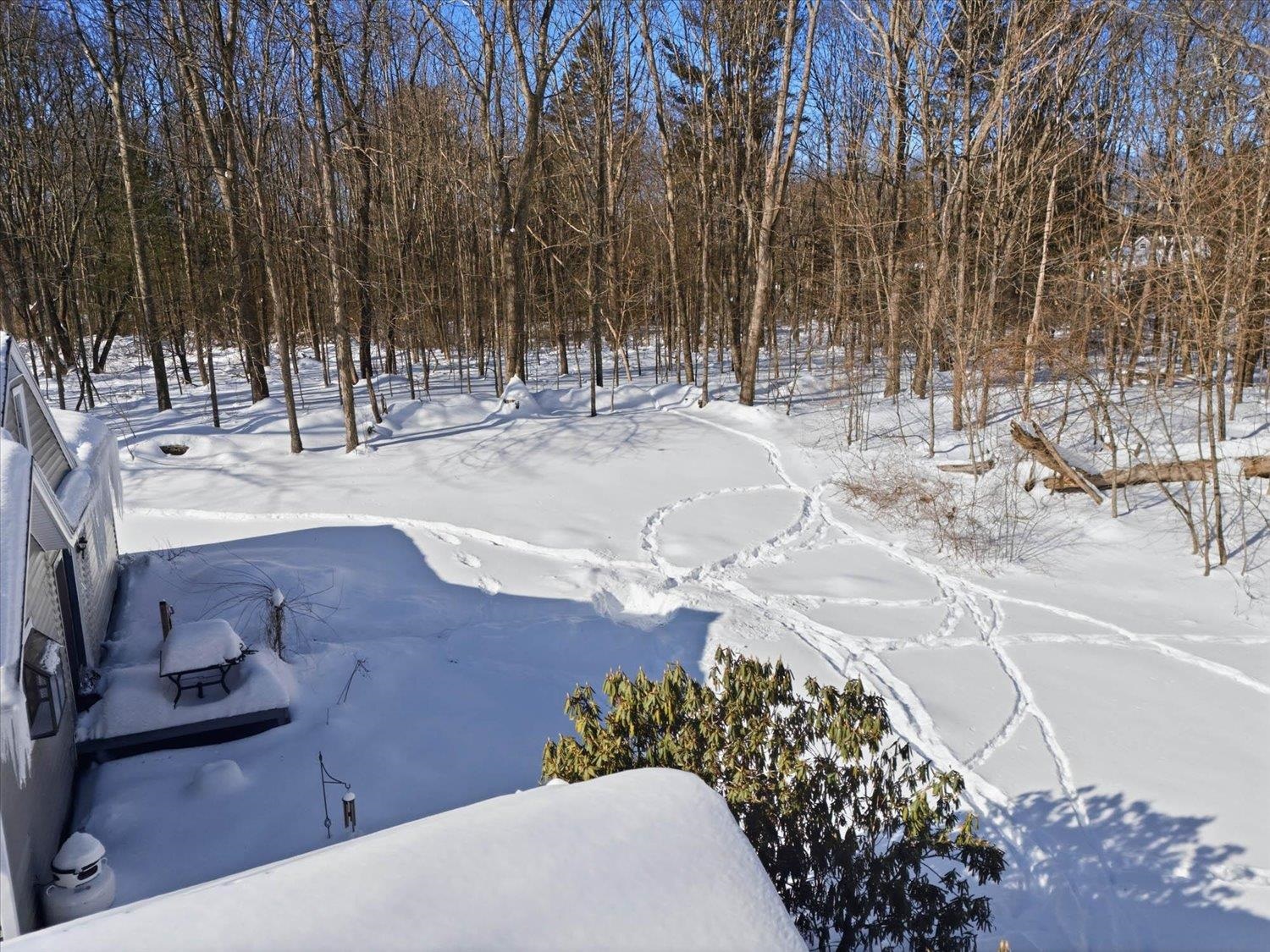 143 Walnut Avenue North Hampton, NH 03862 - Photo 3 of 40