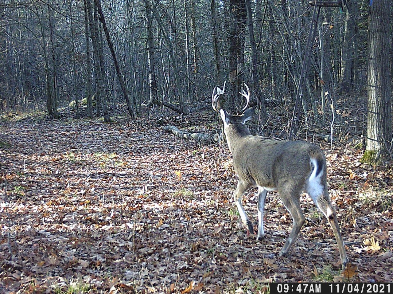 Off Walnut Road Kennan, WI 54537 - Photo 18 of 24 Gallery Image 18