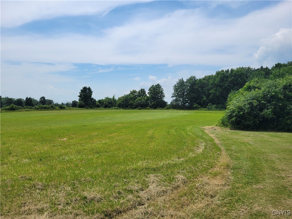 5465 Ridge Road Fleming, NY 13021 - Photo 34 of 40 acreage
