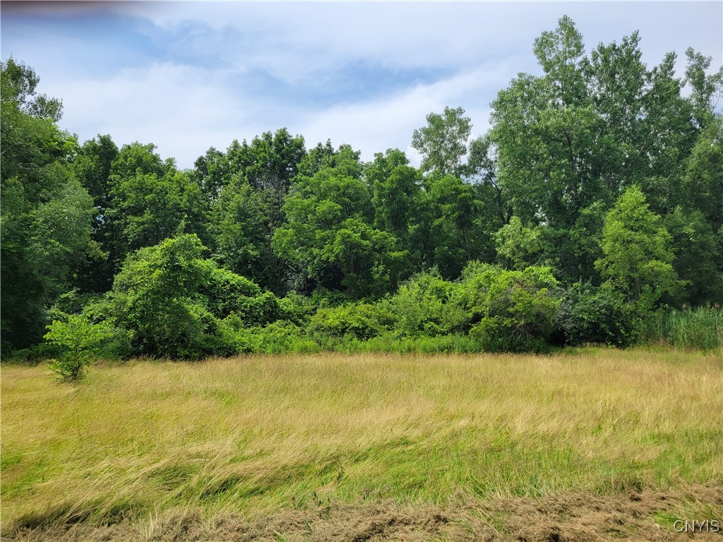 5465 Ridge Road Fleming, NY 13021 - Photo 6 of 40 acerage