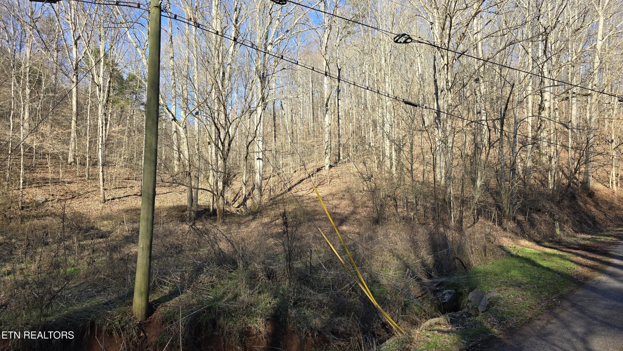 0 Red Ankle Road Sweetwater, TN 37874 - Photo 29 of 32 Gallery Image 29