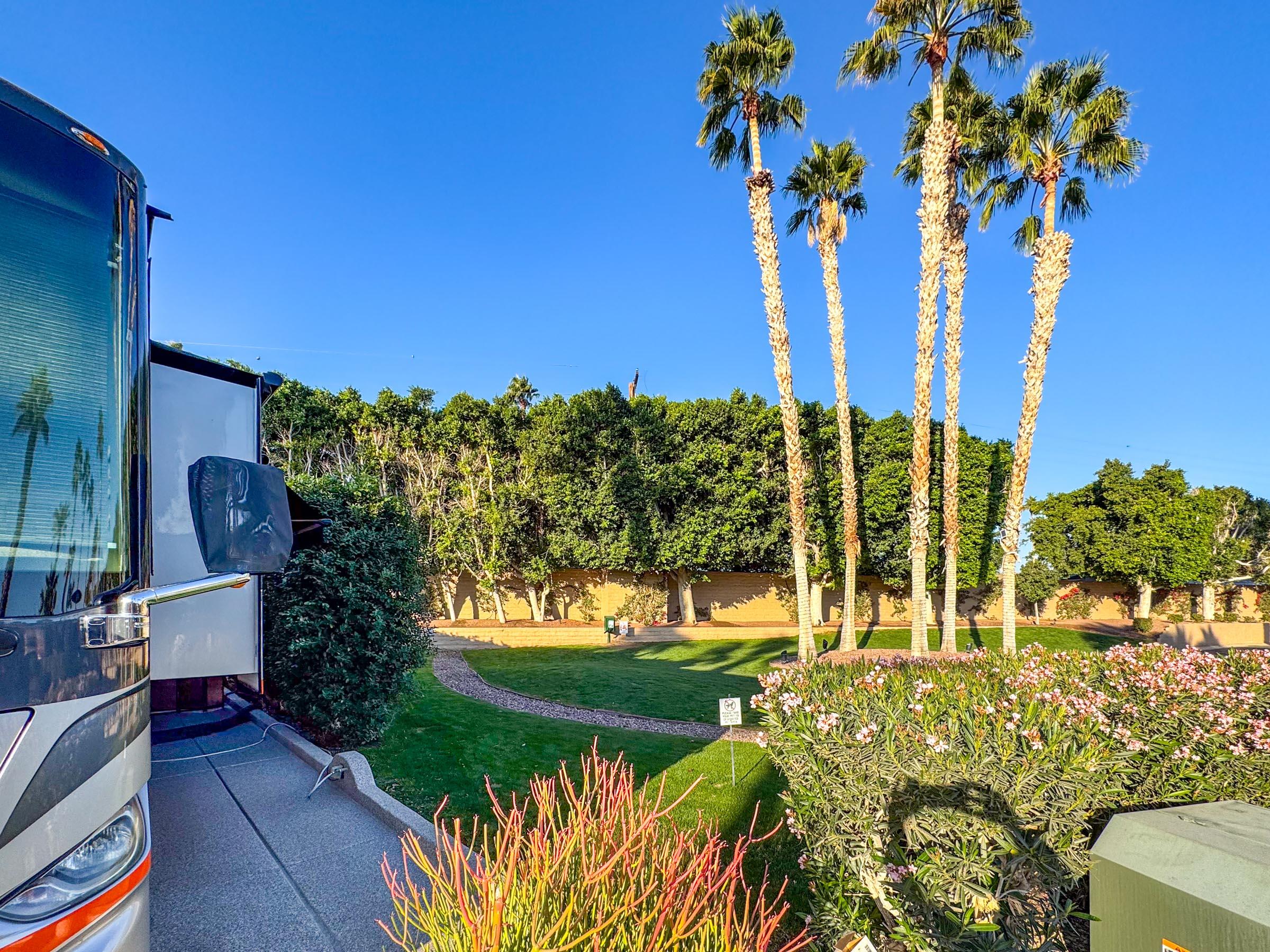 80394 Ave 48, Unit 156 Indio, CA 92201 - Photo 7 of 42 a view of a garden with plants