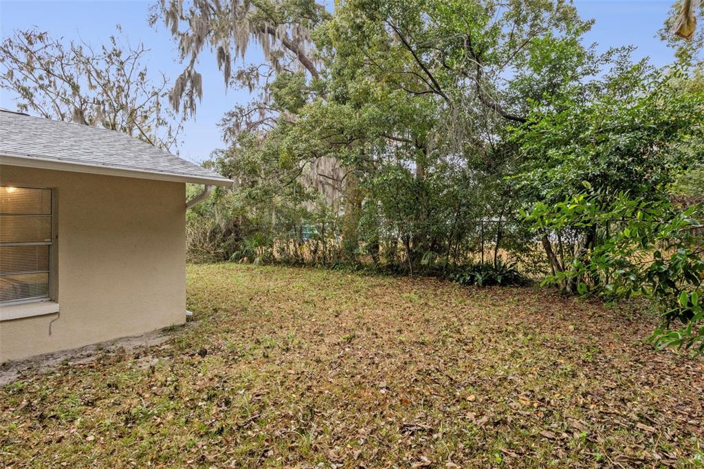 690 East Jackson Avenue Mount Dora, FL 32757 - Photo 24 of 25