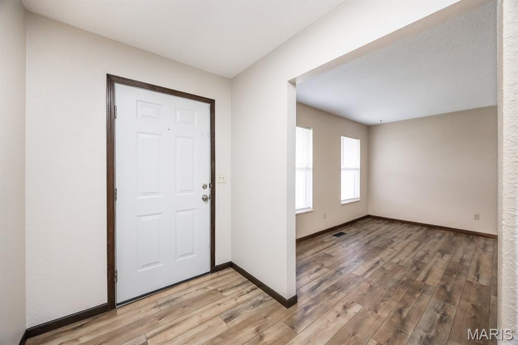 116 Rio Verde Drive Belleville, IL 62221 - Photo 4 of 24