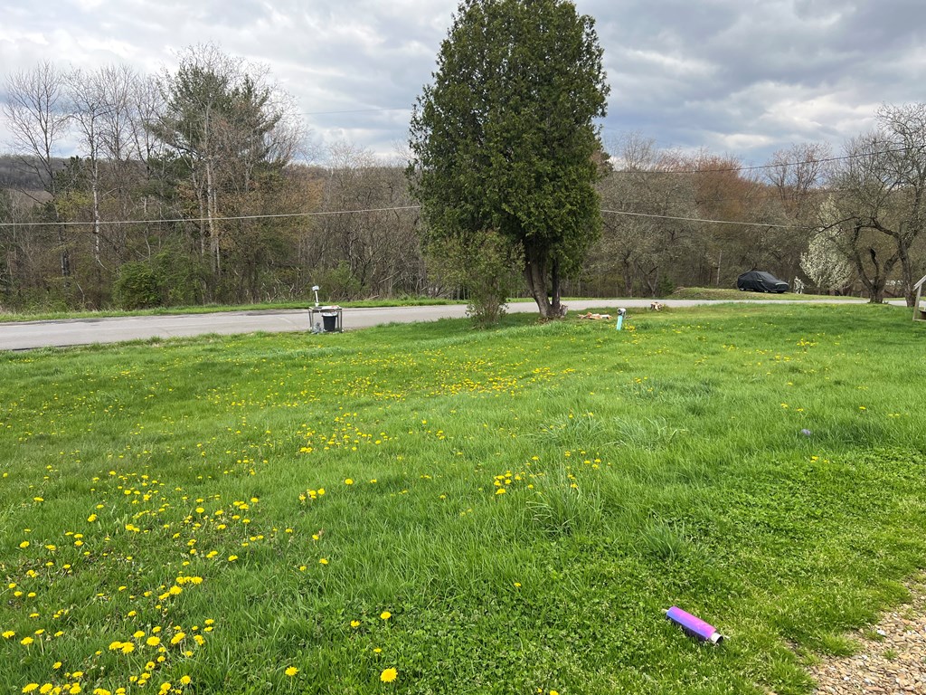 774 Vo-Tech Road Reynoldsville, PA 15851 - Photo 4 of 14