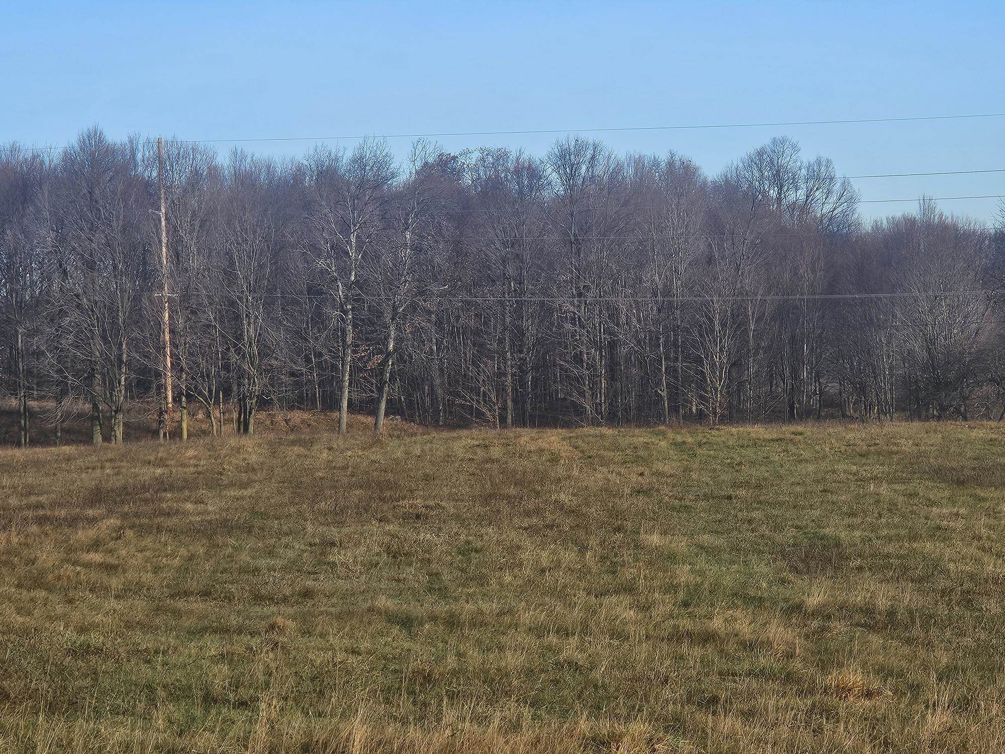 9786 West Drew Road Weidman, MI 48893 - Photo 16 of 20