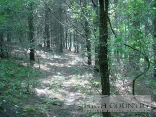 Lot #79 River Hills Road Lansing, NC 28643 - Photo 1 of 1 Gallery Image 1