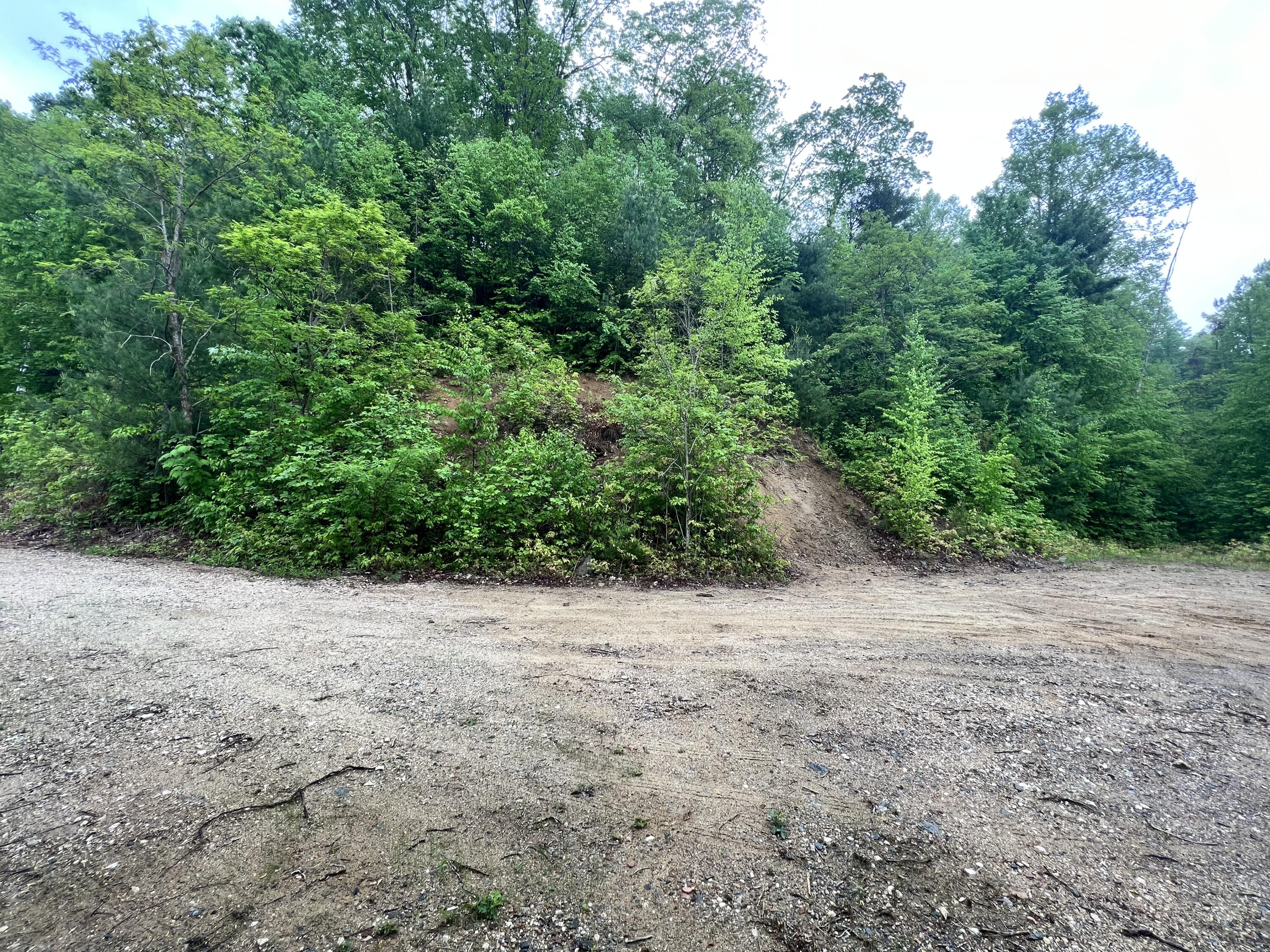 Lot 48 Locust Lane, Unit 48 Butler, TN 37640 - Photo 1 of 10 A21DBB48-1BFC-412C-BAD1-AFA63DF25367