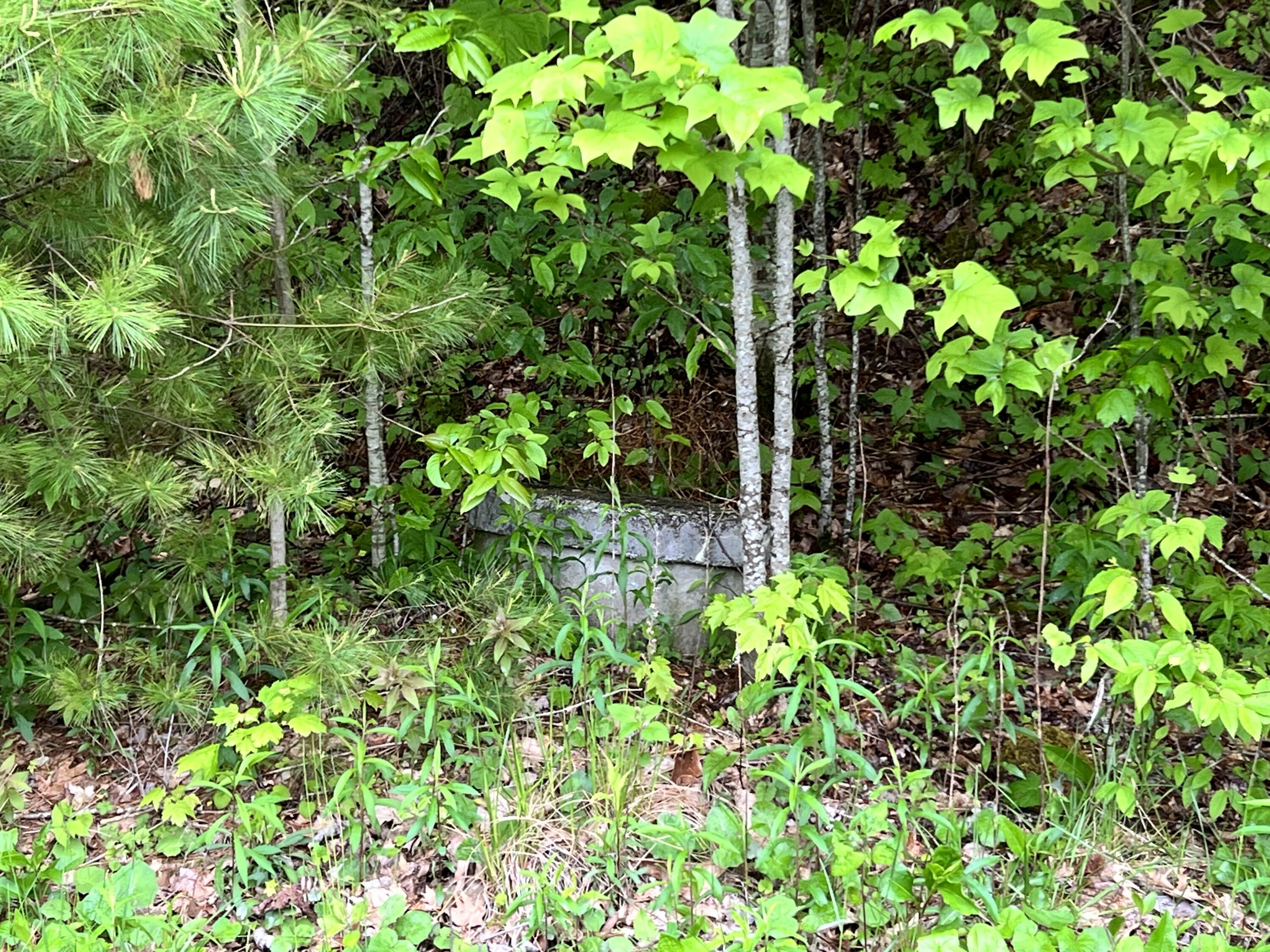 Lot 48 Locust Lane, Unit 48 Butler, TN 37640 - Photo 3 of 10 28A573A4-7179-41F0-B083-2496DDD1A0E7