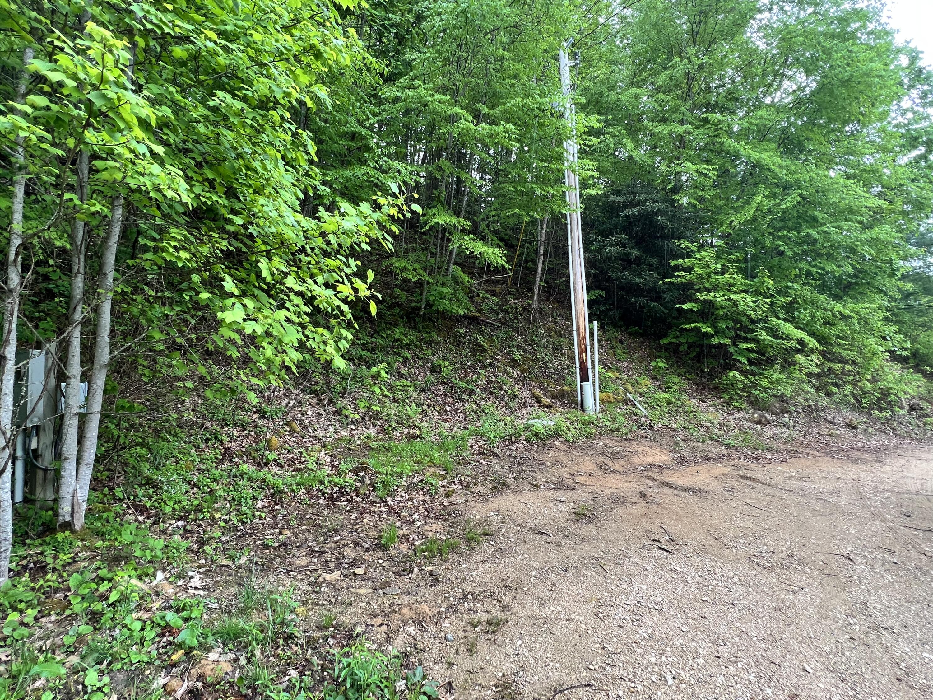 Lot 48 Locust Lane, Unit 48 Butler, TN 37640 - Photo 4 of 10 3C1476C9-A5C1-4C57-8EE6-A2FF3902617D
