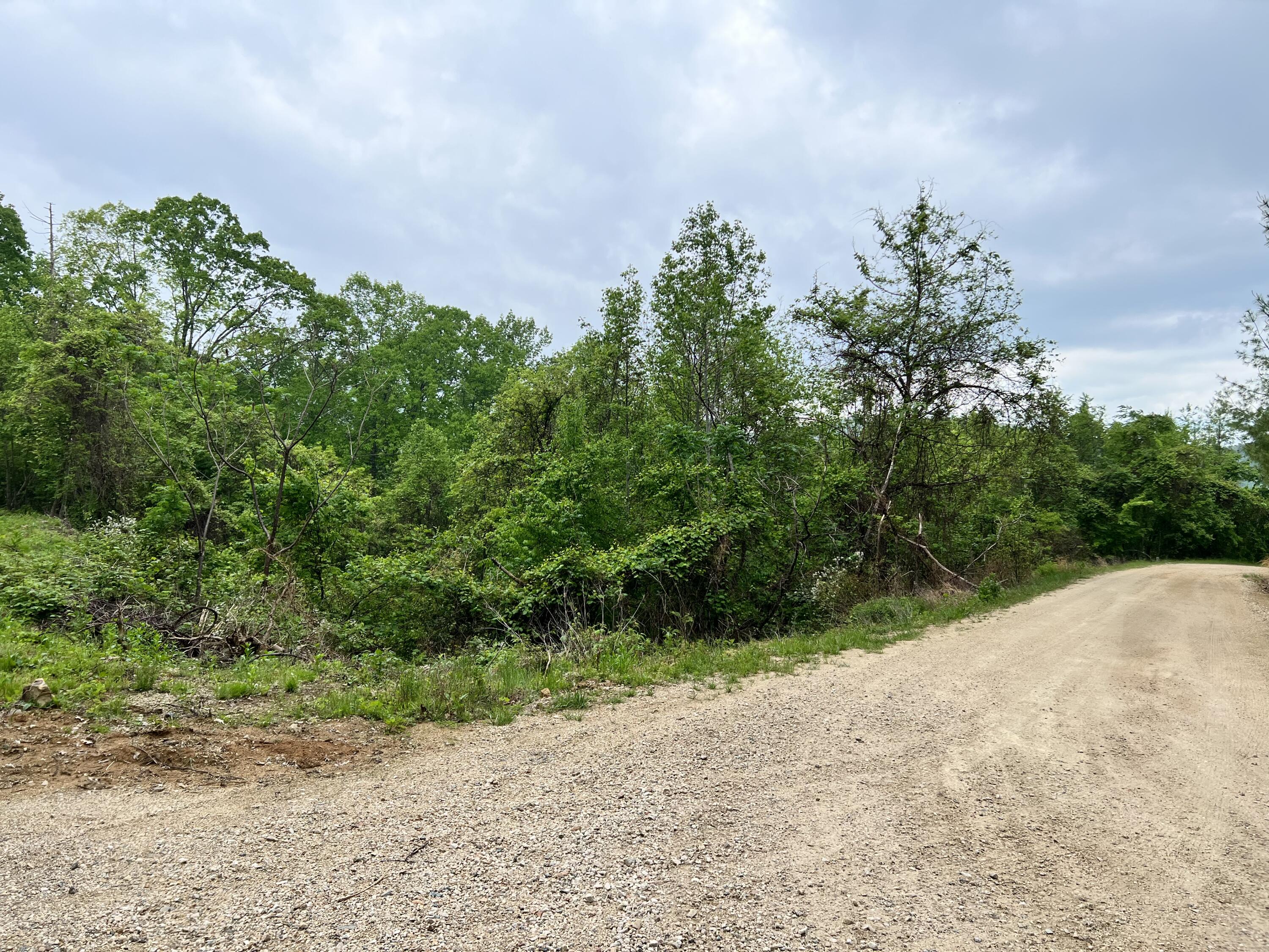 Lot 48 Locust Lane, Unit 48 Butler, TN 37640 - Photo 5 of 10 804AAEAC-98EC-4B34-B6CC-309B52BC8F3C