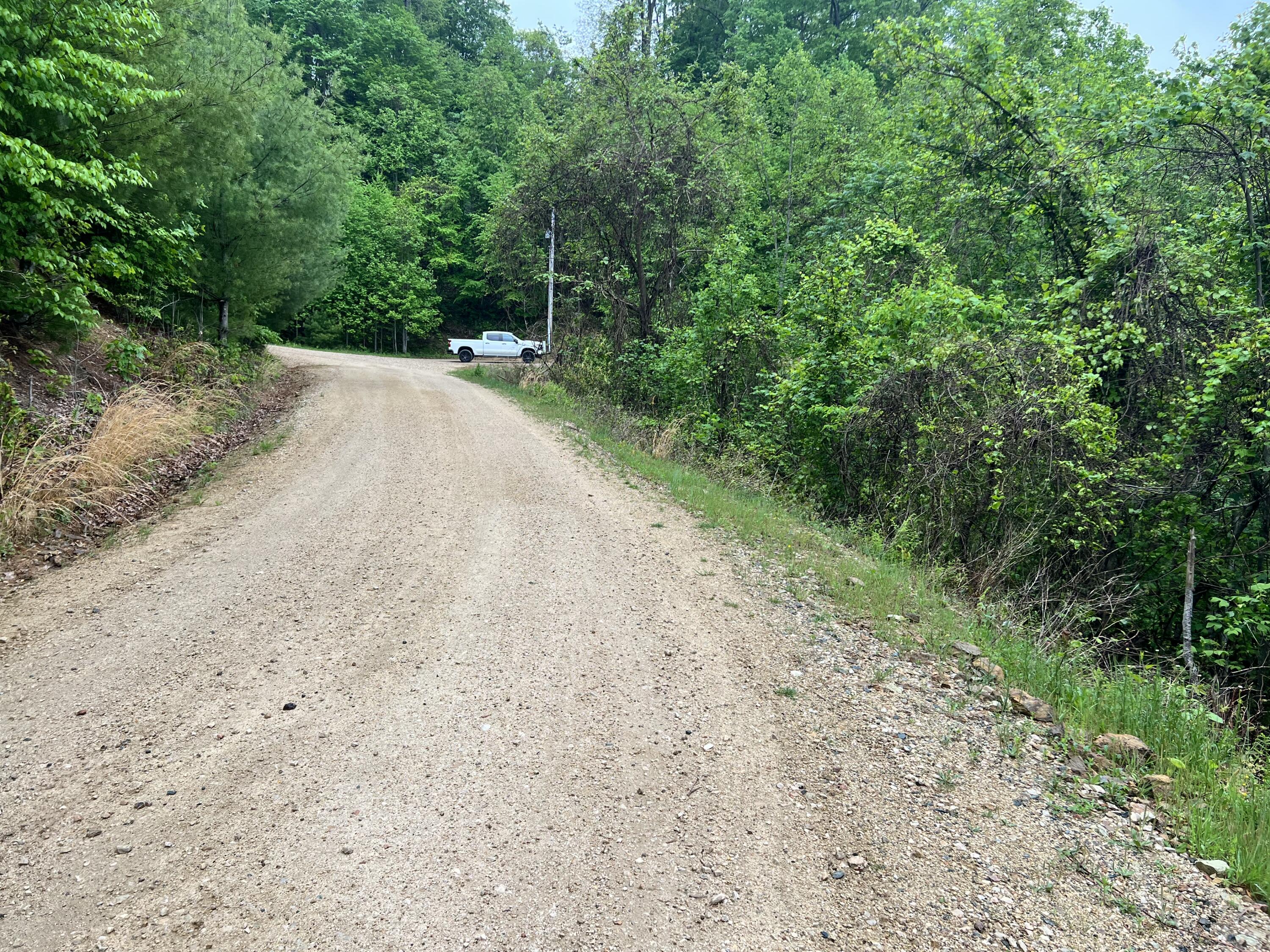 Lot 48 Locust Lane, Unit 48 Butler, TN 37640 - Photo 6 of 10 D300D607-C7A3-42A8-9842-BFC2AE40695C