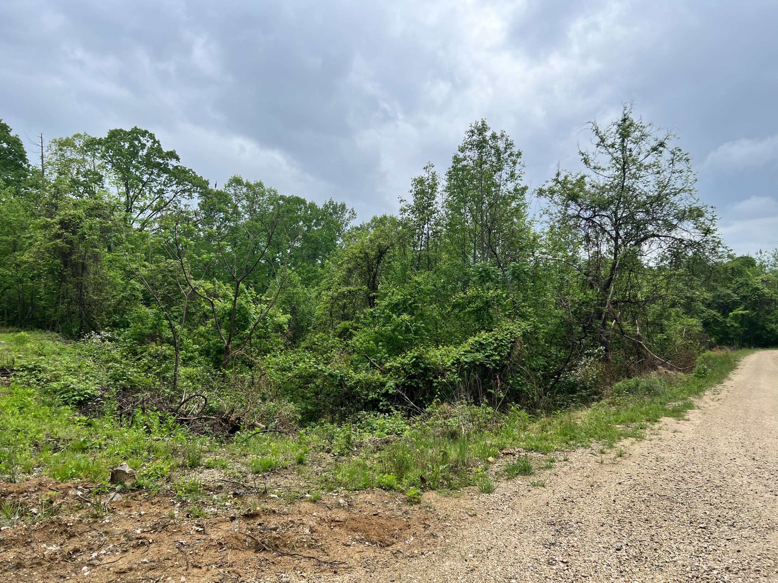 Lot 48 Locust Lane, Unit 48 Butler, TN 37640 - Photo 8 of 10 69049F2C-E02D-4431-9DC0-B6BE54A613BE