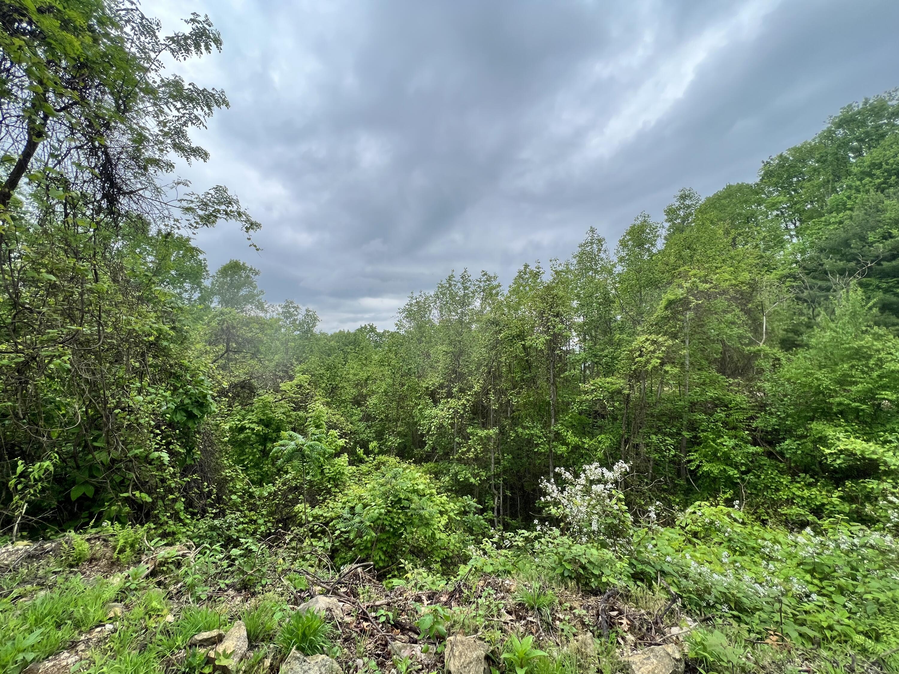 Lot 48 Locust Lane, Unit 48 Butler, TN 37640 - Photo 10 of 10 BB296FBE-DD91-468B-A338-2CAD12B6EDB6