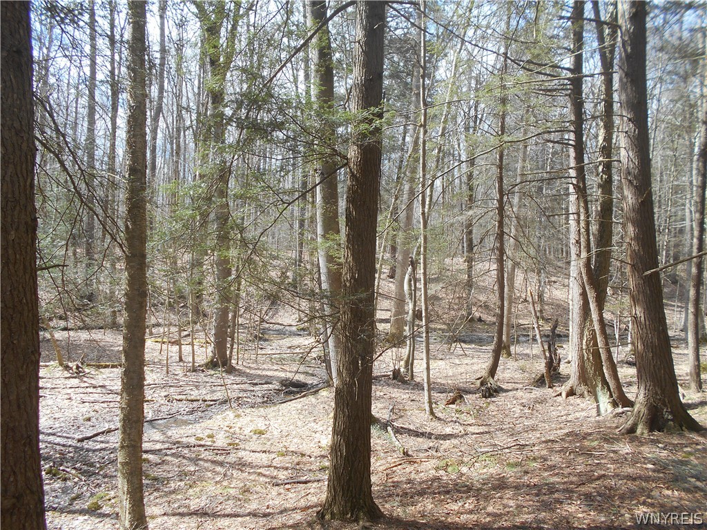 0 Genesee Road Lawtons, NY 14091 - Photo 30 of 34