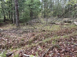 21 South Royalston Road Royalston, MA 01368 - Photo 2 of 2