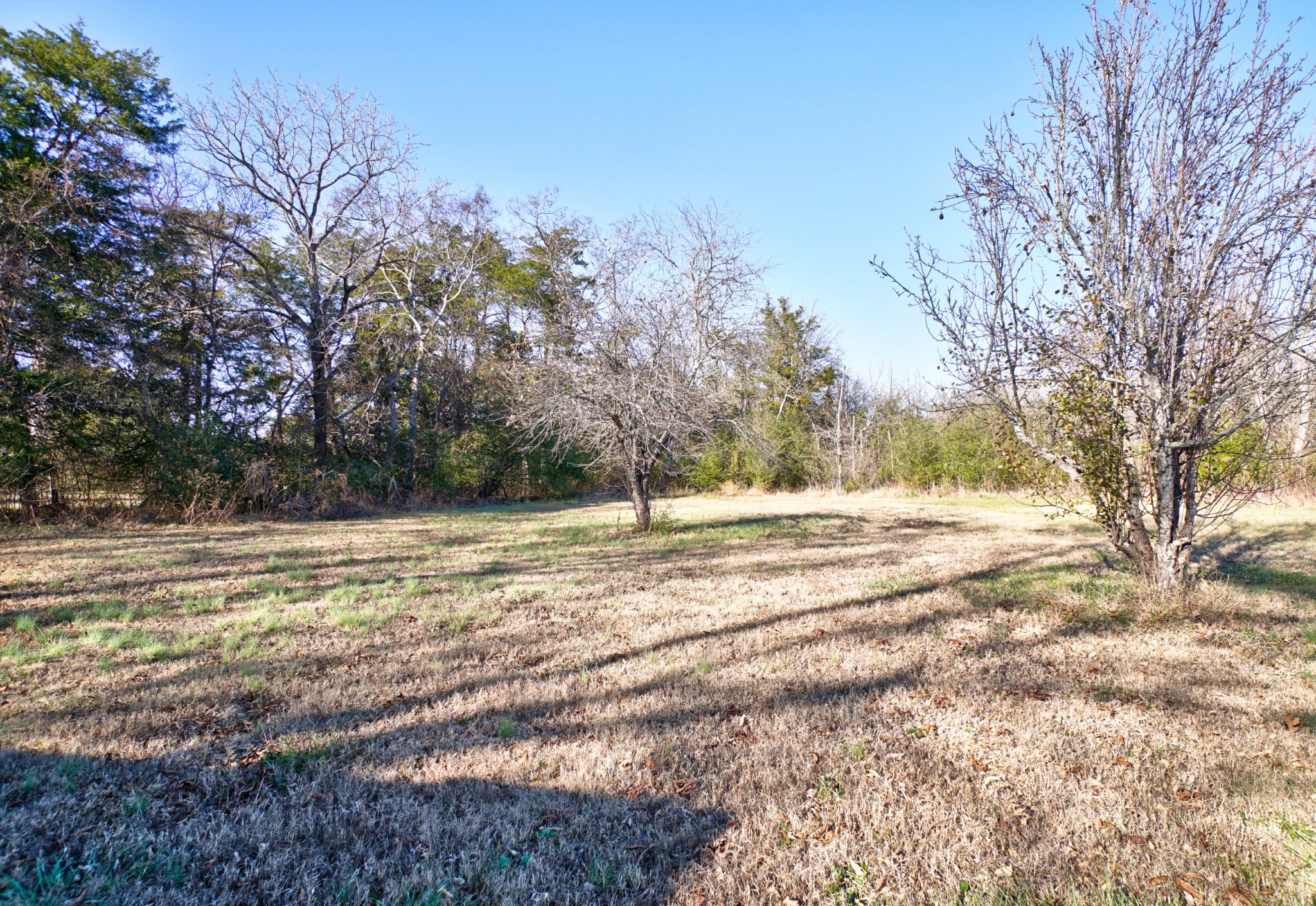 431 Mt Vernon Road Rockvale, TN 37153 - Photo 16 of 16 Gallery Image 16