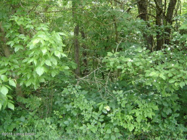 0 Walnut Drive Pendleton, KY 40055 - Photo 3 of 5 DSC00359