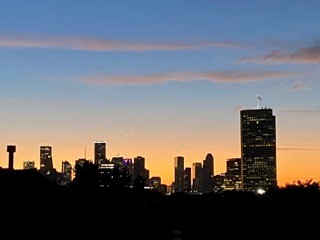 5209 Gibson Street, Unit A Houston, TX 77007 - Photo 38 of 45 Sunrise from the rooftop terrace.