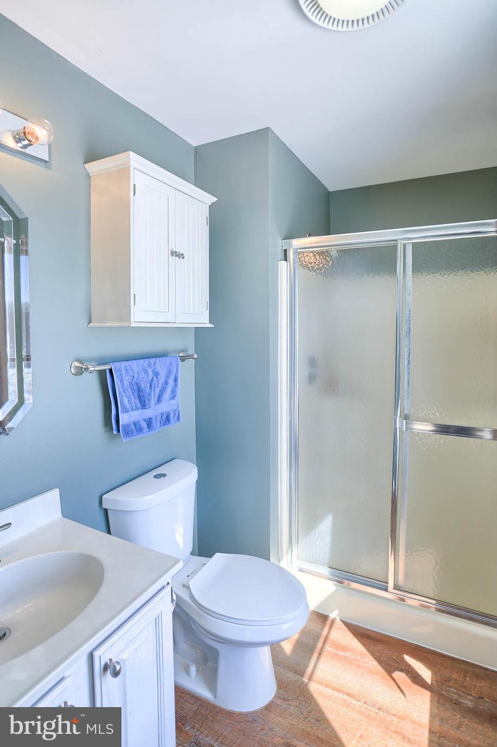 14680 Black Ankle Road Mount Airy, MD 21771 - Photo 13 of 29 Bath (Master)