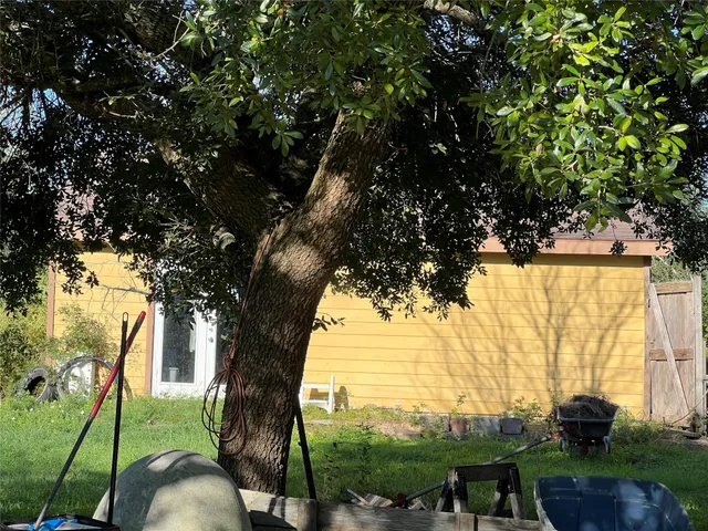 a view of back yard of the house