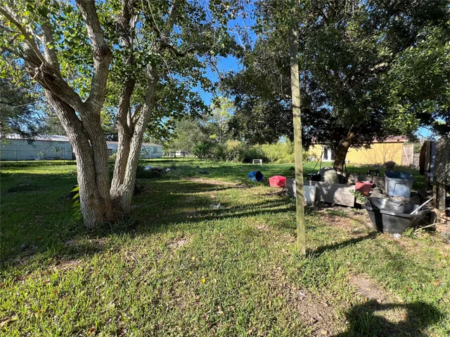 a view of backyard with table and chairs and a large tree
