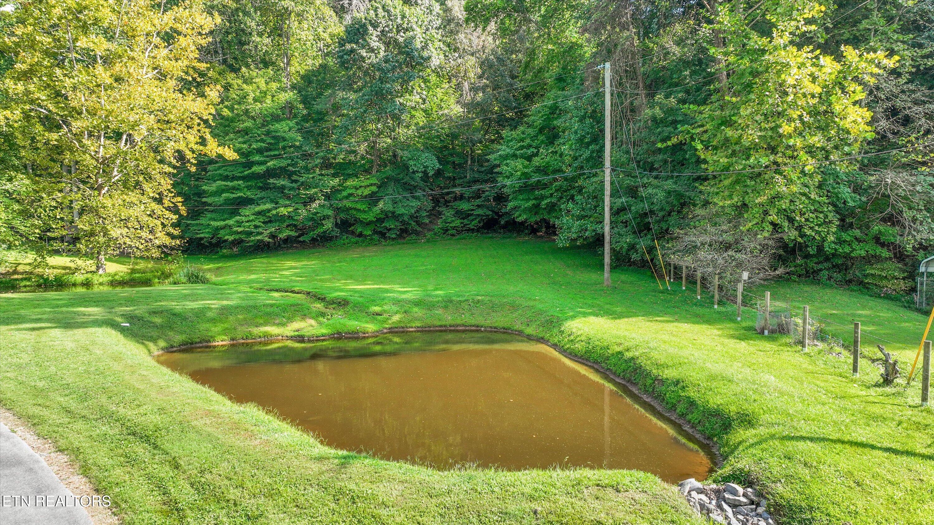745 Blockhouse Valley Road Clinton, TN 37716 - Photo 47 of 58 52-745 Blockhouse Valley Rd19