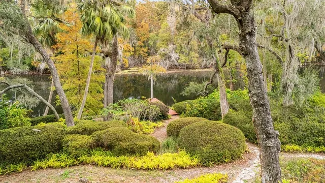 a view of a swimming pool