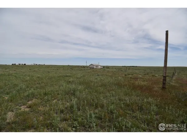 a view of a field with an ocean
