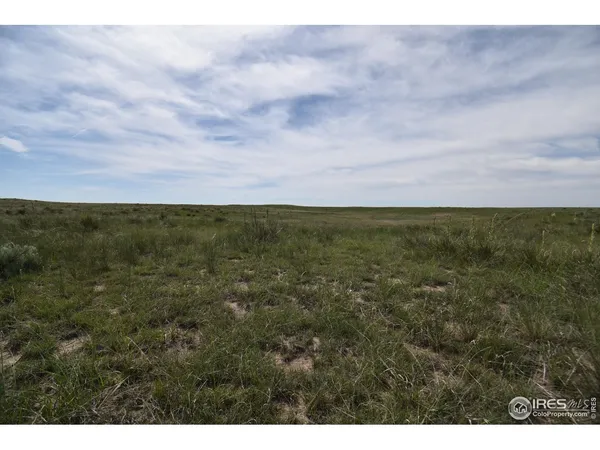 a view of an ocean and beach