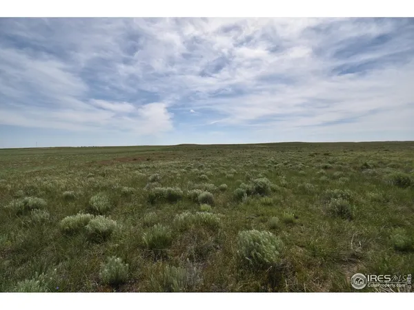 a black and white photo of a bathroom