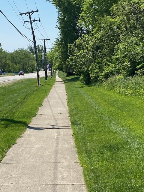 3.8-ac Johnsburg Road Johnsburg, IL 60051 - Photo 2 of 8 a view of park with plants
