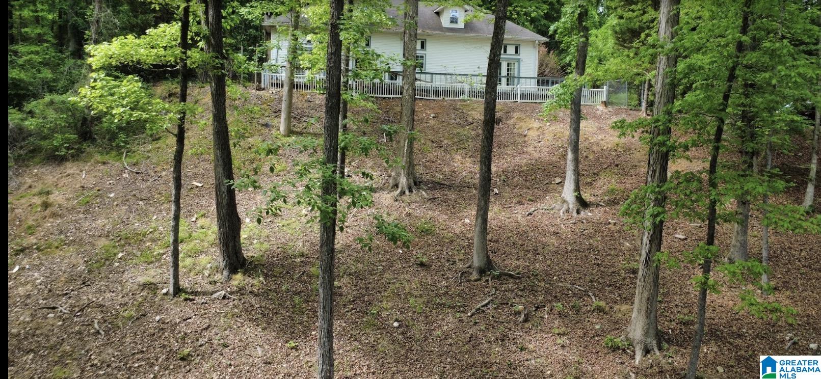 1020 Springhill Road Talladega, AL 35160 - Photo 32 of 40