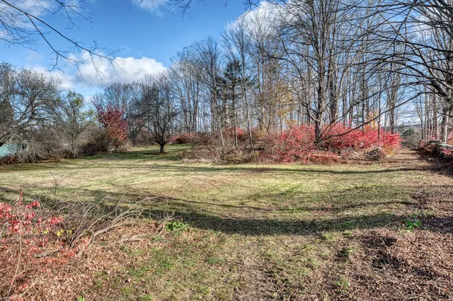 a backyard of a house with lots of green space