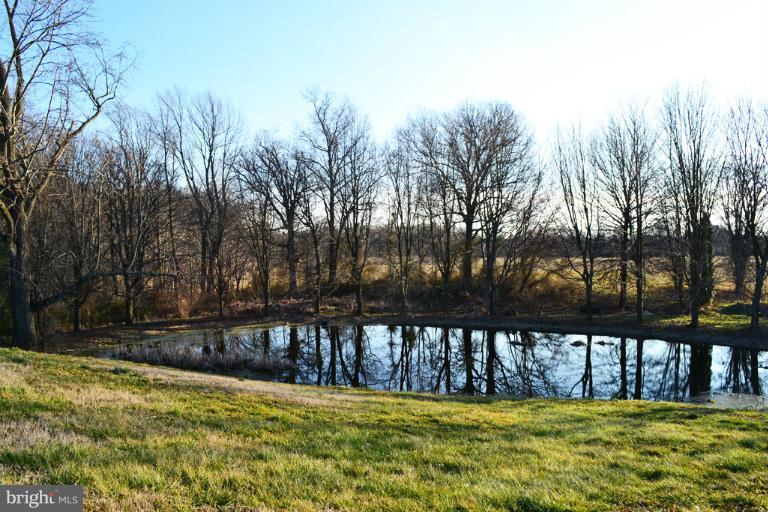17803 Shaffers Mill Road Mount Airy, MD 21771 - Photo 21 of 30 Pond