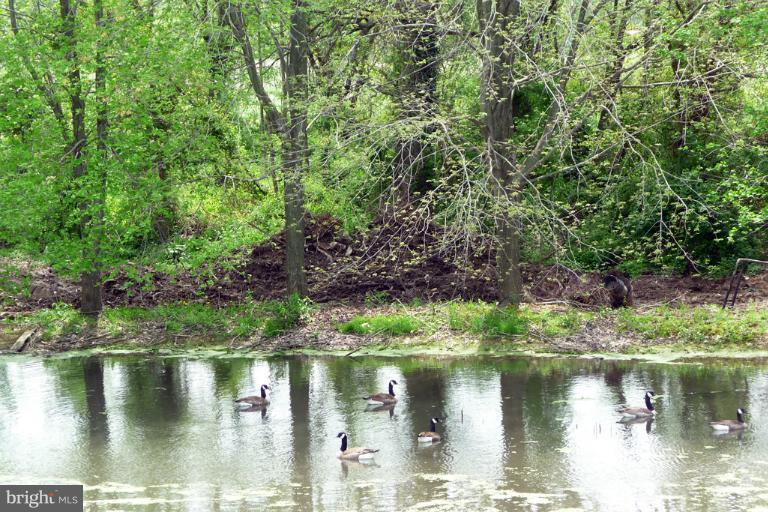 17803 Shaffers Mill Road Mount Airy, MD 21771 - Photo 29 of 30 Pond