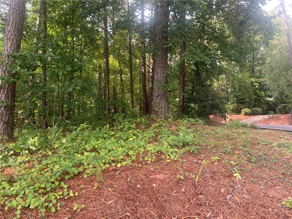 1 Port Tack Road, Unit 3 Salem, SC 29676 - Photo 18 of 19 Pretty!