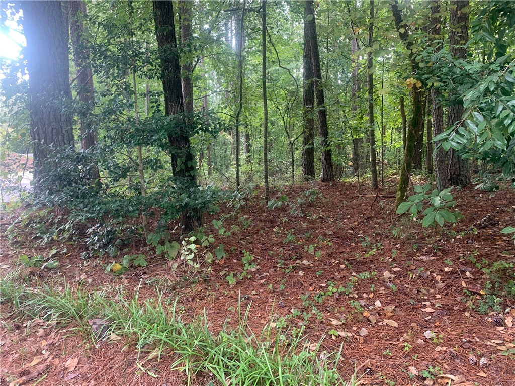 1 Port Tack Road, Unit 3 Salem, SC 29676 - Photo 19 of 19 Come build on me!