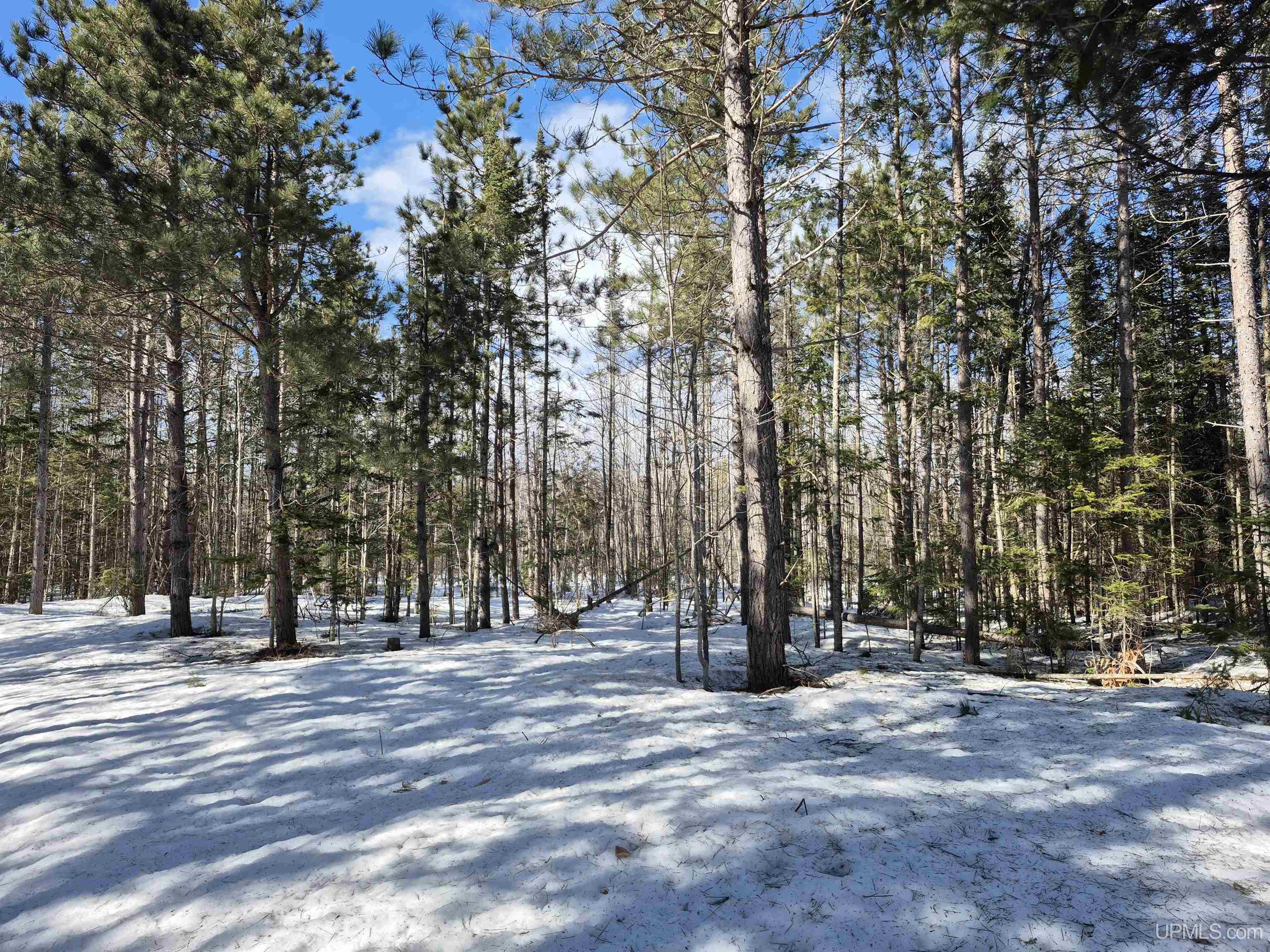 20-acres Off Flodin Road Manistique, MI 49854 - Photo 11 of 29