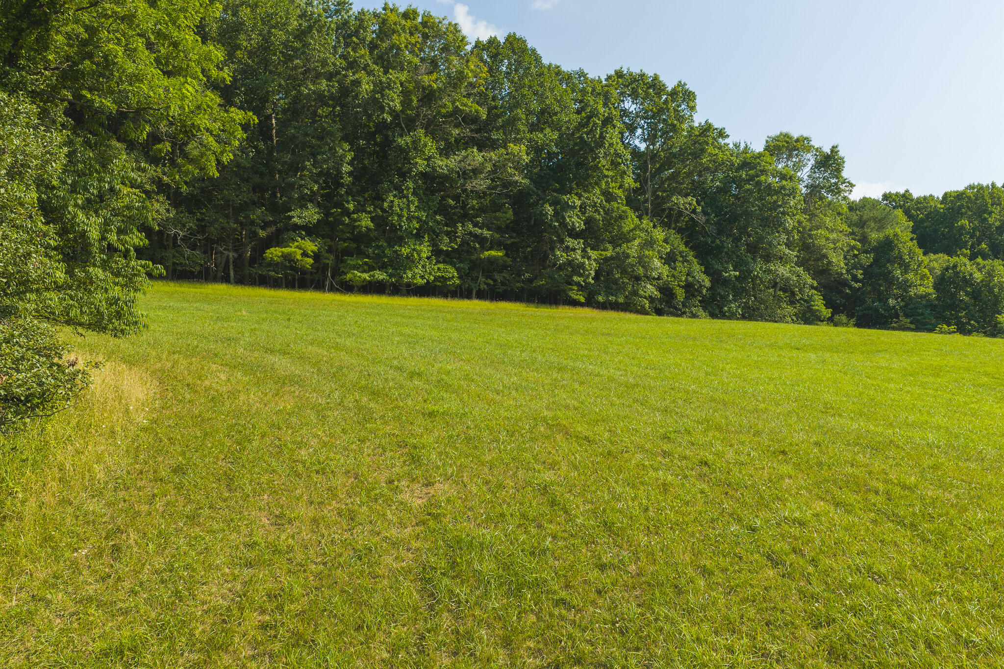 Lot 2 Brush Creek Road Riner, VA 24149 - Photo 10 of 15 DJI_20260629165813_0181_D