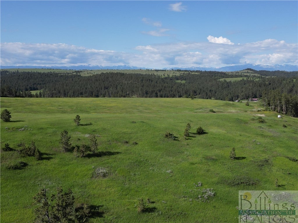 Tbd Shane Ridge Road Columbus, MT 59019 - Photo 1 of 1 Gallery Image 1