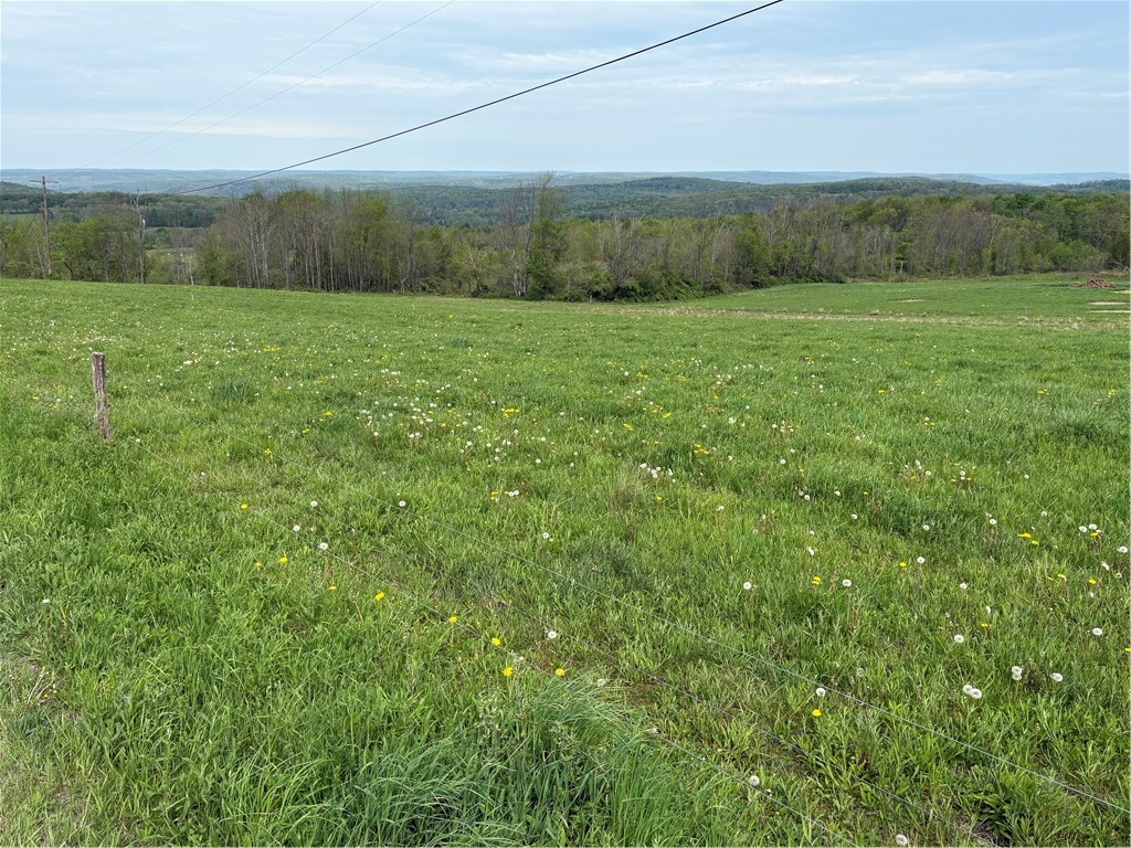 Wahlberg Road Guilford, NY 13780 - Photo 20 of 25