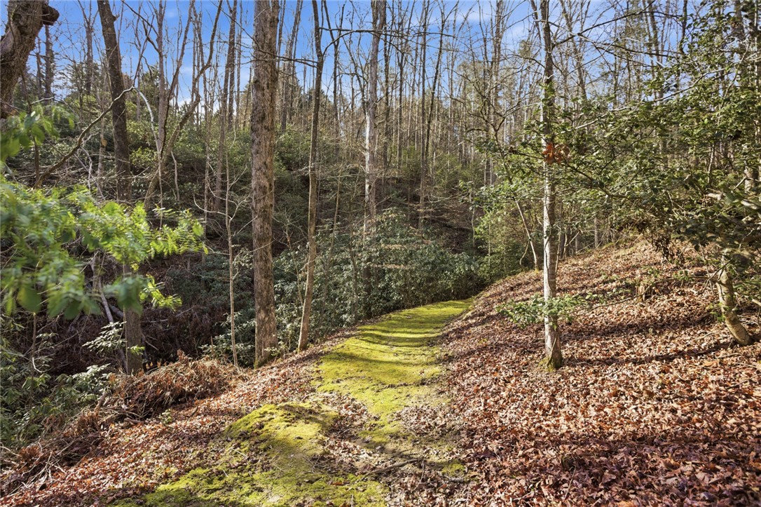 320 Holly Lane Walhalla, SC 29691 - Photo 3 of 41 A tranquil pathway winds through a serene, wooded landscape, offering a peaceful retreat into nature.