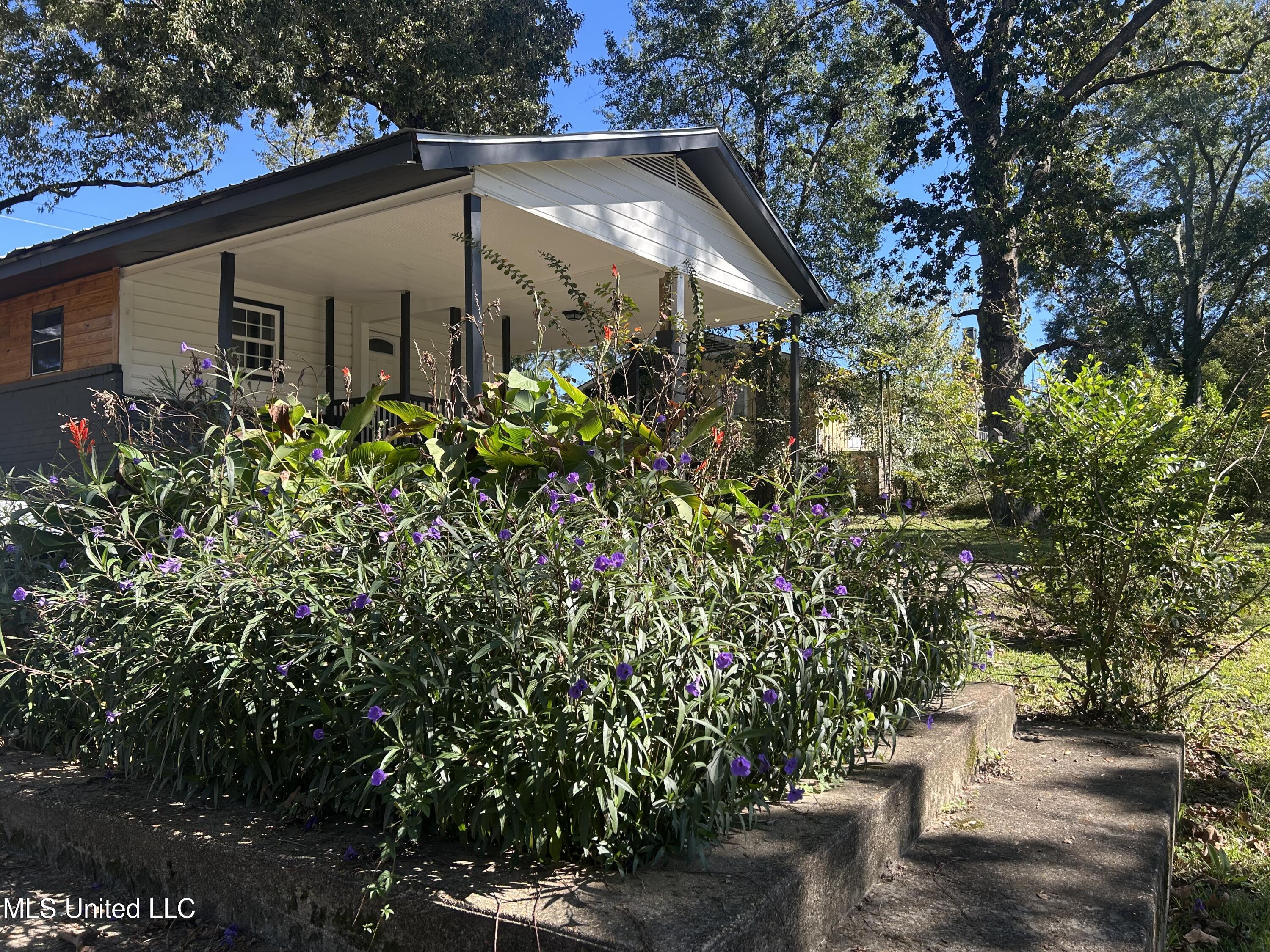 220 North James Avenue McComb, MS 39648 - Photo 4 of 40 IMG_6971