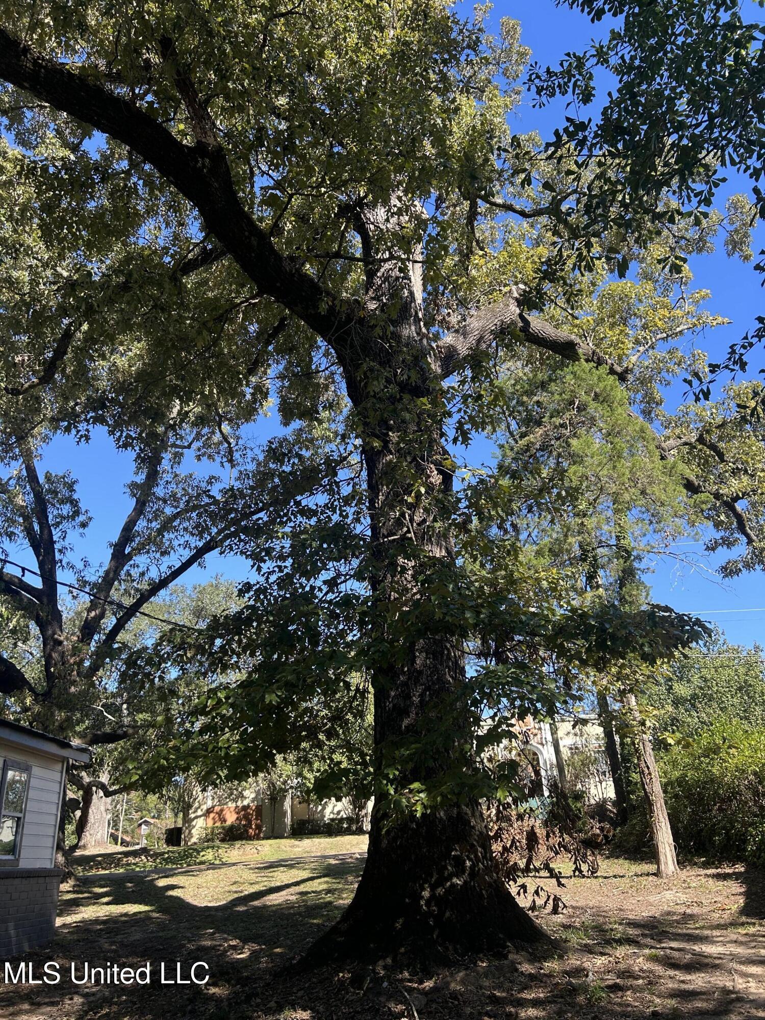 220 North James Avenue McComb, MS 39648 - Photo 10 of 40 IMG_6952