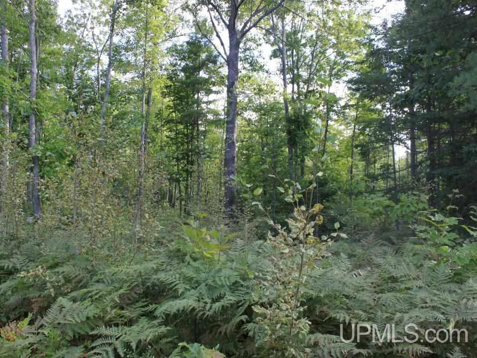 Tbd Shepards Ridge Road Lake Linden, MI 49945 - Photo 12 of 27 Gallery Image 12