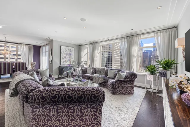a living room with furniture potted plant and a large window